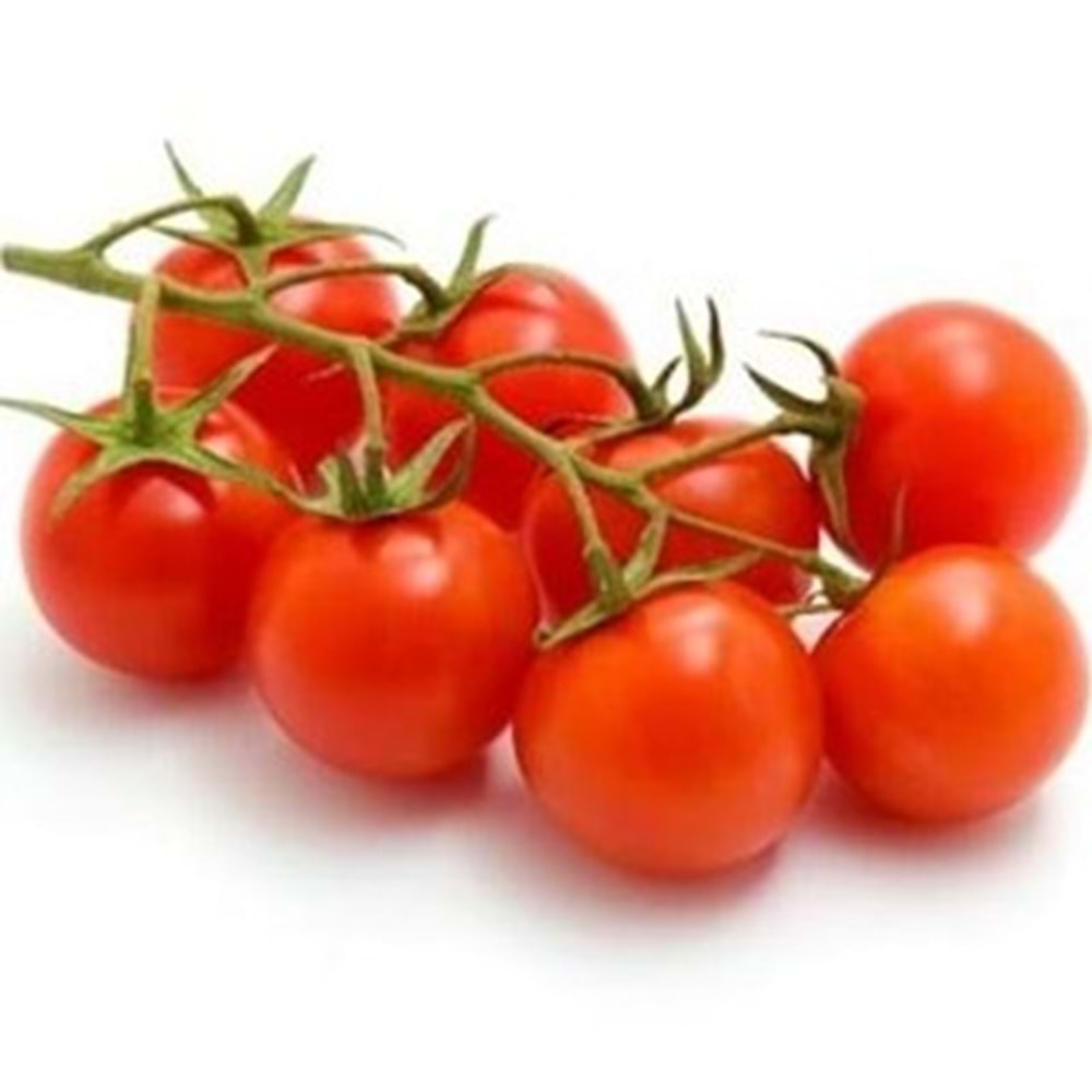 DOMATES ÇERİ