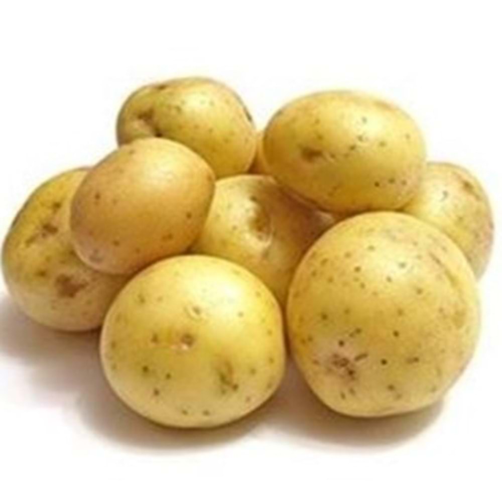 PATATES TAZE