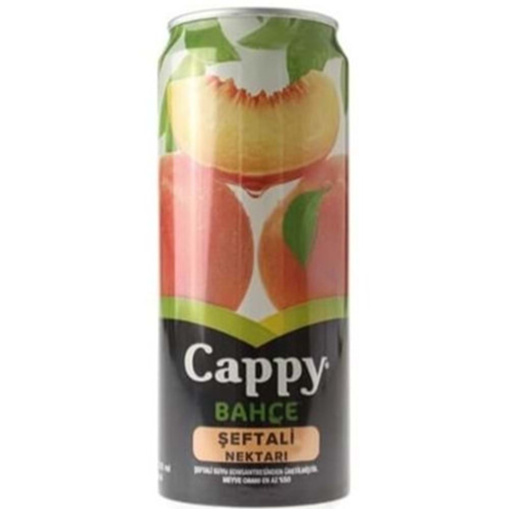 CAPPY MEYVE SUYU 330 ML SEFTALI