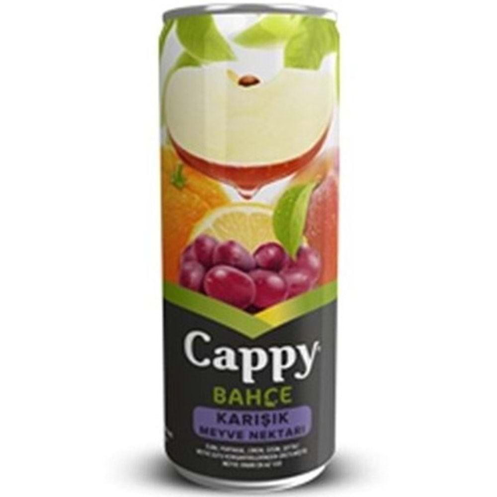 CAPPY MEYVE SUYU 330 ML KARISIK