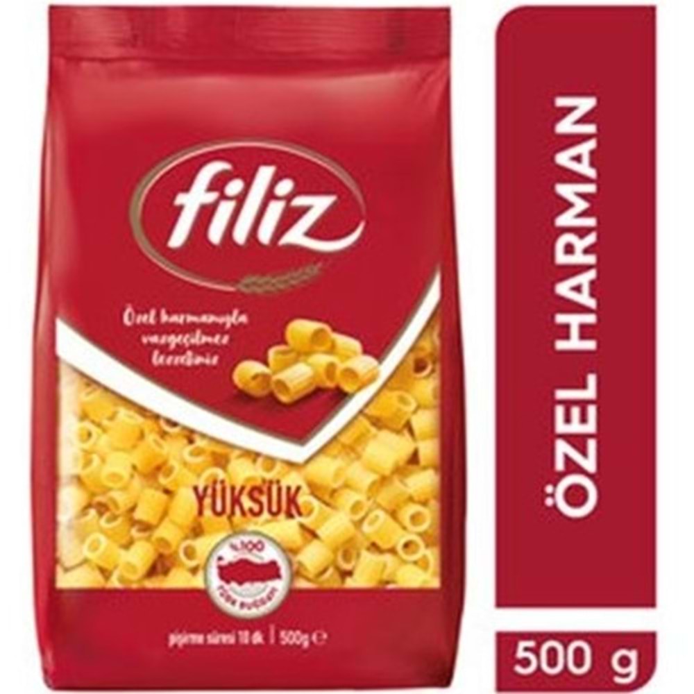 FİLİZ MAKARNA 500 GR YUKSUK