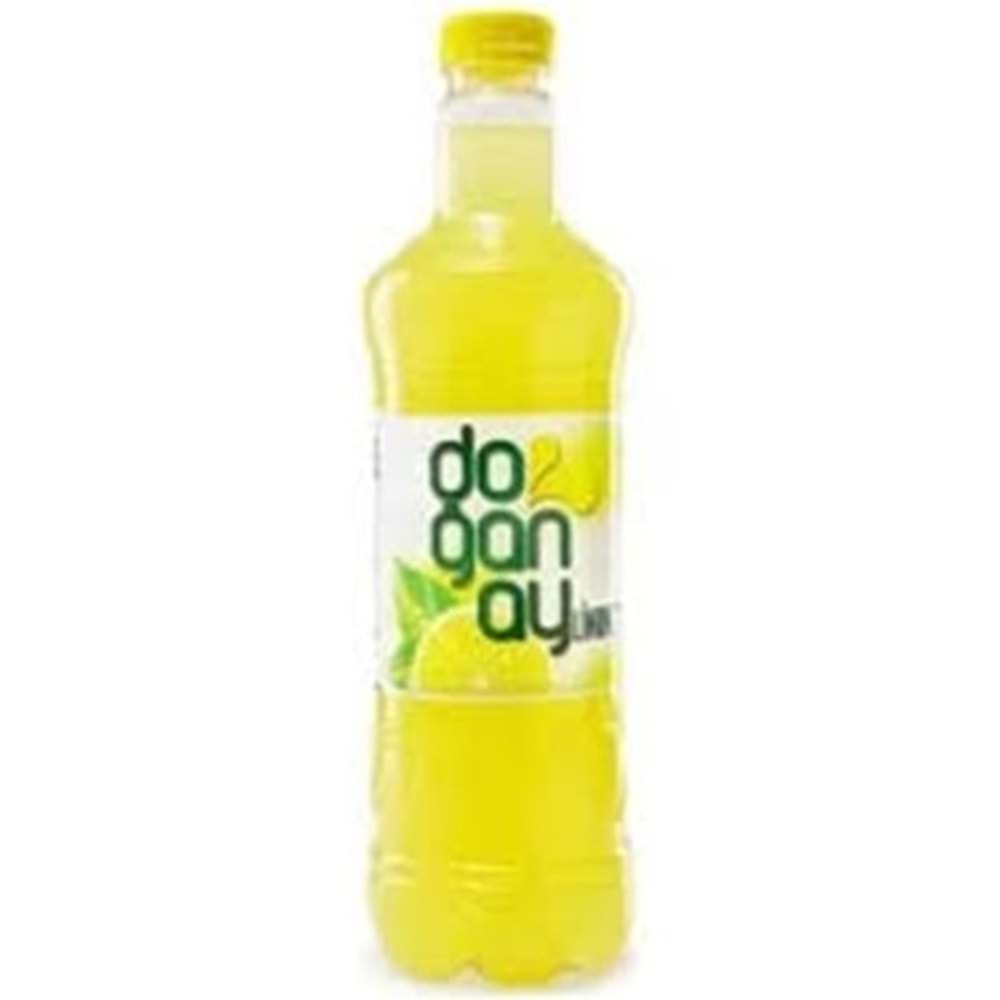 DOĞANAY LİMONATA 2 LT