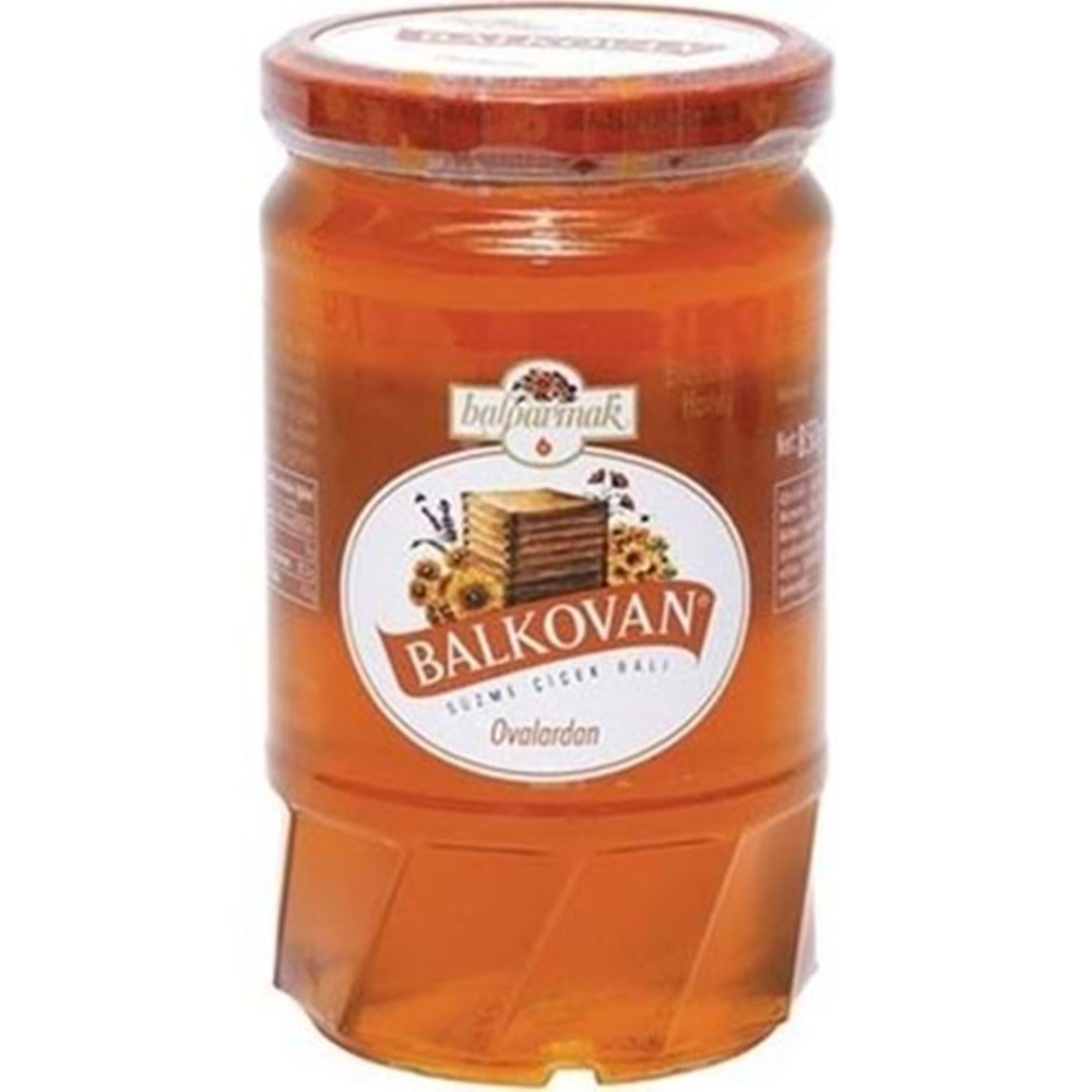 BİNBAL SUZME BAL 460 GR