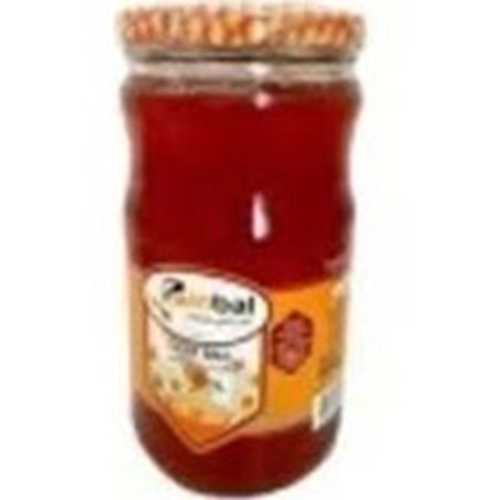 BİNBAL SUZME BAL 850 GR