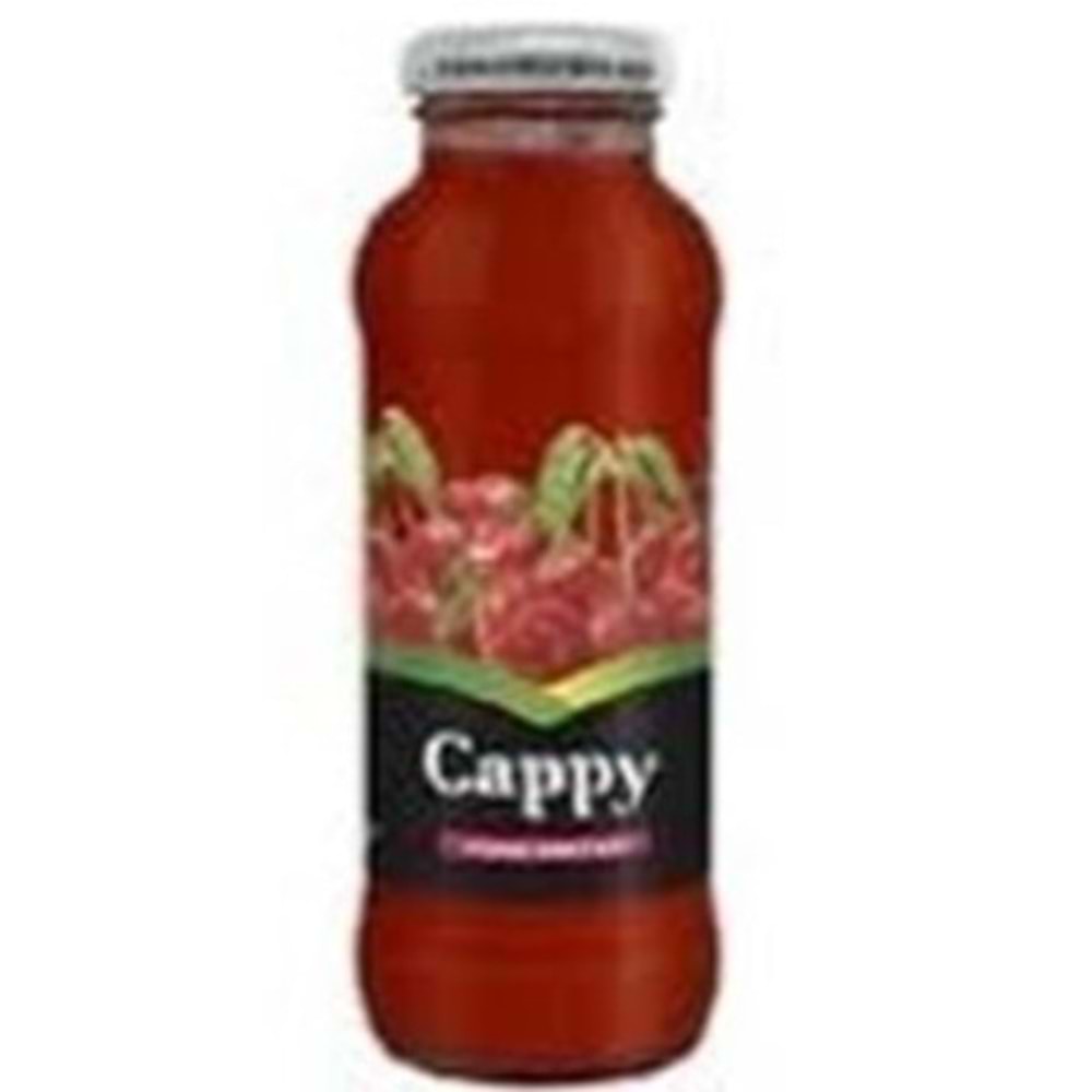 CAPPY MEYVE SUYU 250 ML VİŞNE