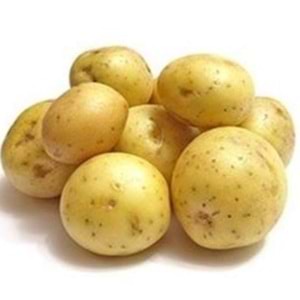 PATATES TAZE