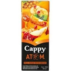 CAPPY MEYVE SUYU 200 ML ATOM