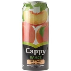 CAPPY MEYVE SUYU 330 ML SEFTALI