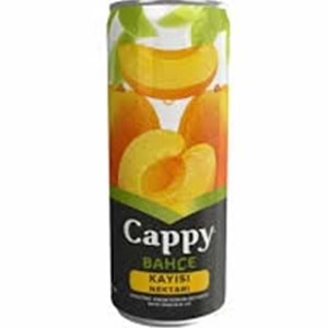 CAPPY MEYVE SUYU 330 ML KAYISI