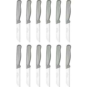 STAINLESS STEAL MEYVE BICAGI 12 LI