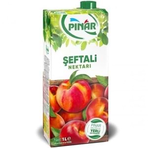 PINAR MEYVE SUYU 200 ML SEFTALI