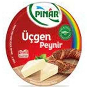 PINAR KAHVALTI KEYFI UCGEN PEYNIR 100 GR