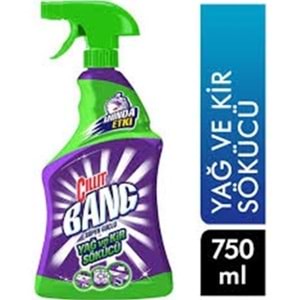 CILLIT BANK KİR VE YAĞ SÖKÜCÜ SPREY 750 ML