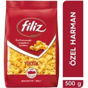 FİLİZ MAKARNA 500 GR YUKSUK