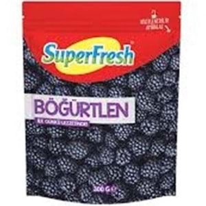 SÜPERFRESH DONUK BÖĞÜRTLEN 300 GR