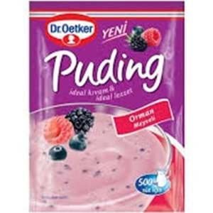 DR.OETKER TOZ PUDING 81 GR ORMAN MEYVELI