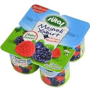 SÜTAŞ MEYVELI YOGURT 115 GR ORMAN MEYVELI