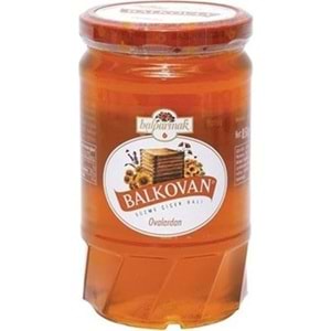 BİNBAL SUZME BAL 460 GR