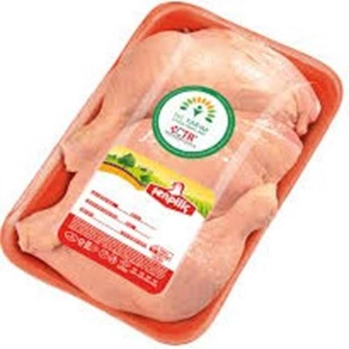 ŞENPİLİÇ BUT KG