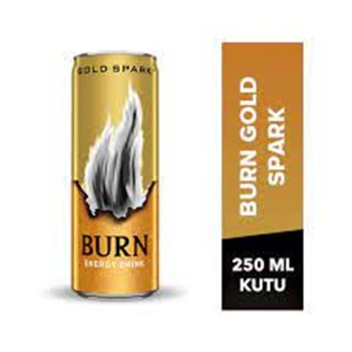 BURN ENERJİ İÇEÇEĞİ 250 ML