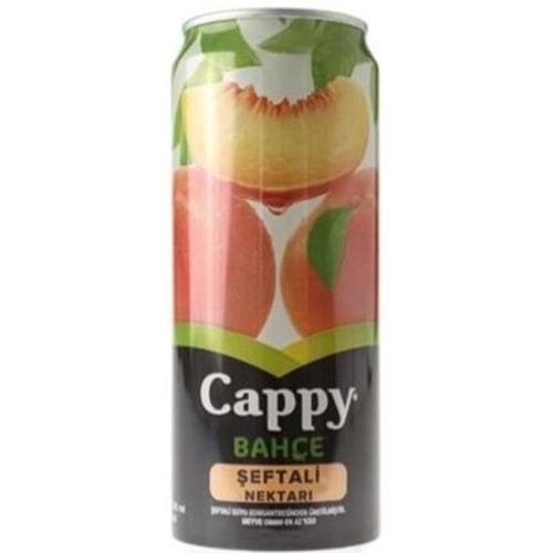 CAPPY MEYVE SUYU 330 ML SEFTALI
