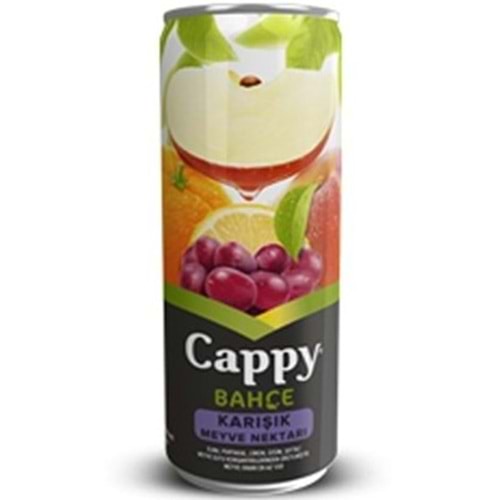 CAPPY MEYVE SUYU 330 ML KARISIK