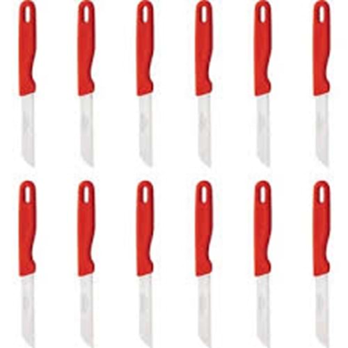 KNIFE MEYVE BICAGI 12 LI