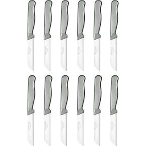 STAINLESS STEAL MEYVE BICAGI 12 LI