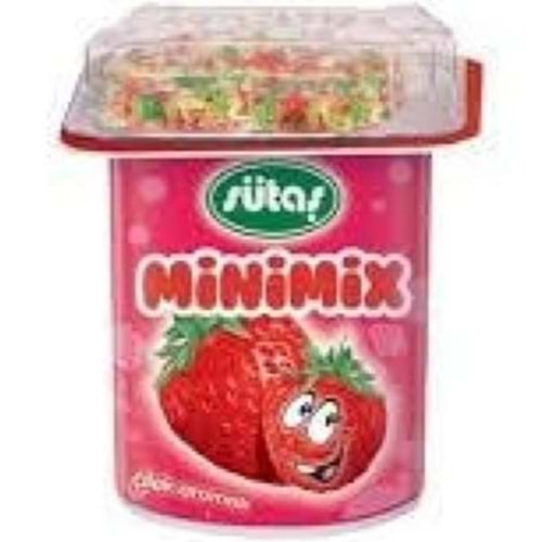 SÜTAŞ MINIMIX 90 GR ORMAN MEYVELI