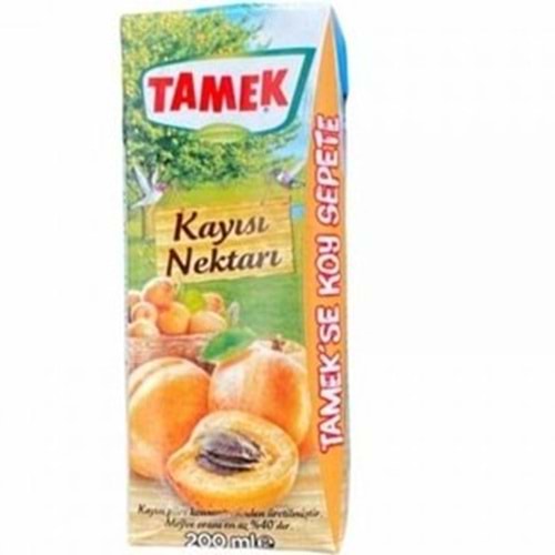 TAMEK MEYVE SUYU 185 ML KAYISI