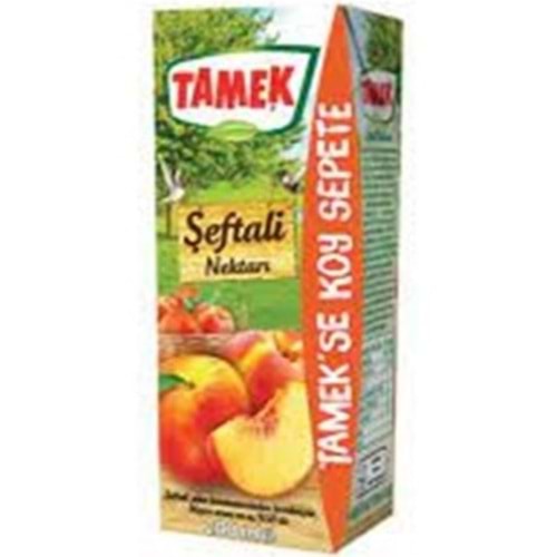TAMEK MEYVE SUYU 200 ML SEFTALI