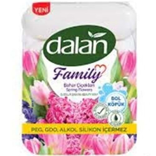 DALAN FAMILIY SABUN 300 GR BAHAR CICEKLERI