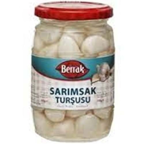 BERRAK SARIMSAK TURSUSU 340 GR