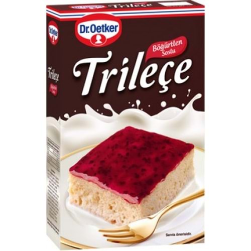 DR.OETKER TRILECE 315 GR BOGURTLEN SOSLU