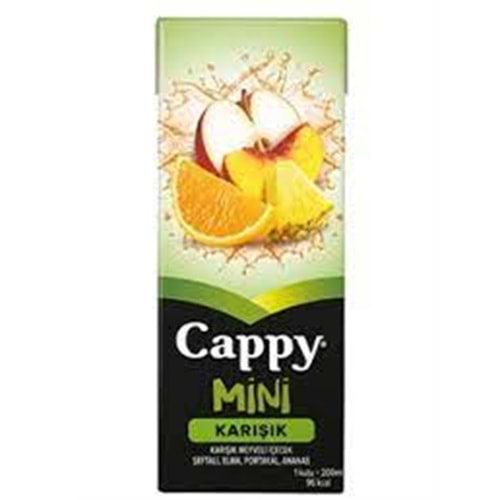 CAPPY MEYVE SUYU 200 ML KARISIK