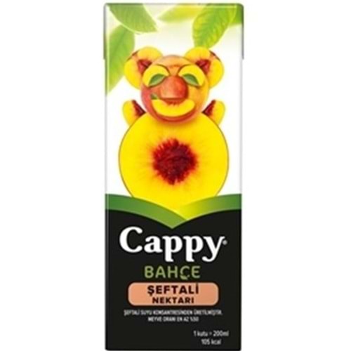 CAPPY MEYVE SUYU 200 ML SEFTALI