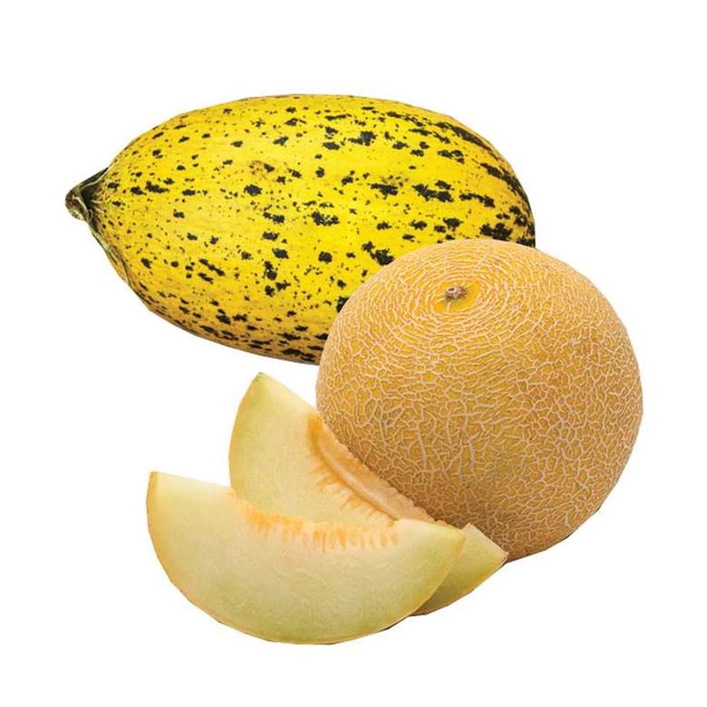 KAVUN