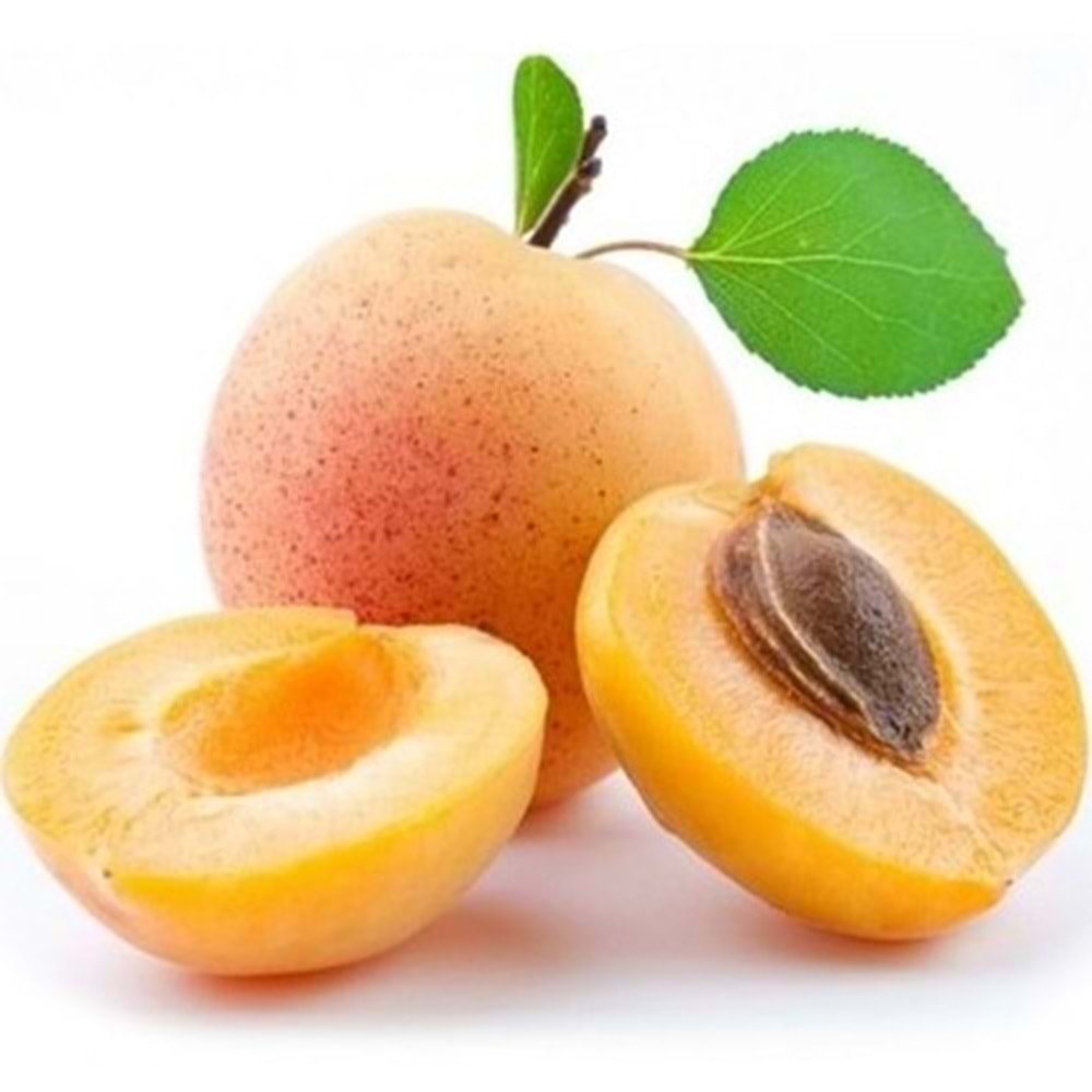 KAYISI