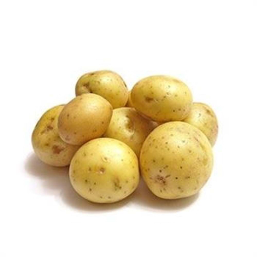 PATATES TAZE