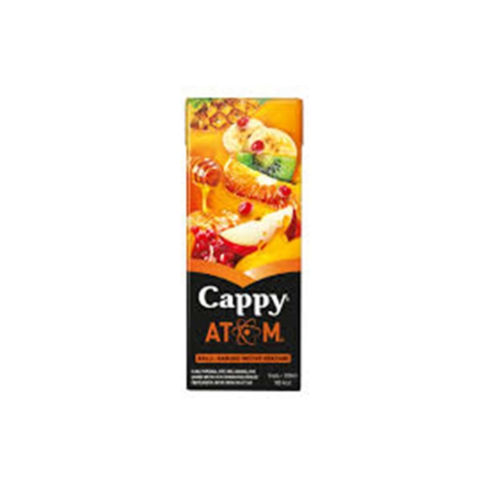 CAPPY MEYVE SUYU 200 ML ATOM