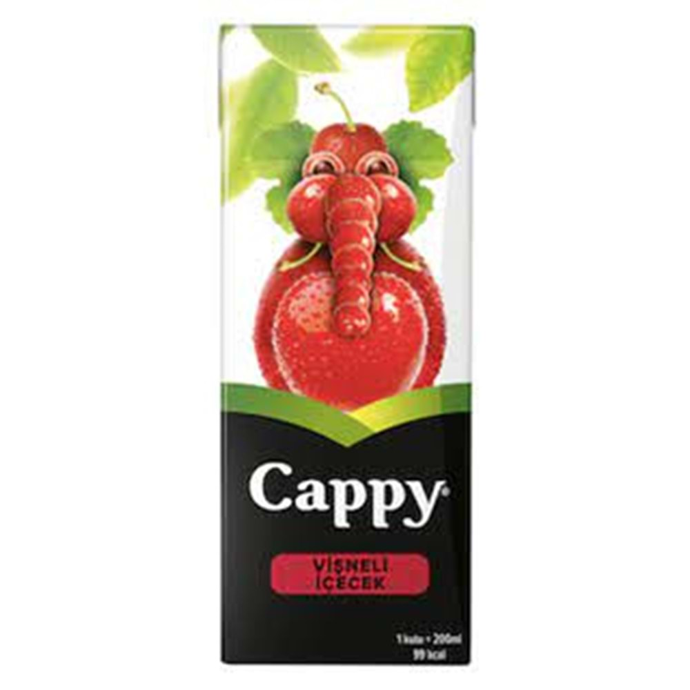 CAPPY MEYVE SUYU 200 ML VISNE