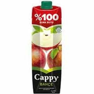 CAPPY MEYVE SUYU 1 LT ELMA