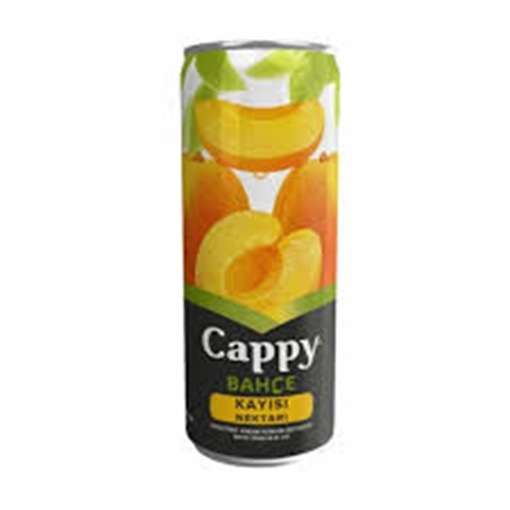 CAPPY MEYVE SUYU 330 ML KAYISI