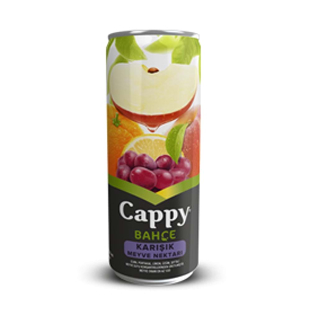 CAPPY MEYVE SUYU 330 ML KARISIK