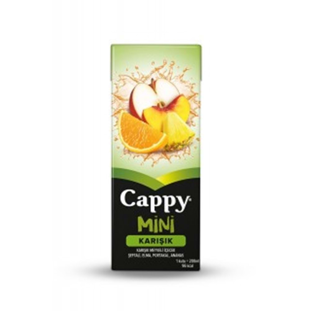 CAPPY MINI MEYVE SUYU 200 ML KARISIK
