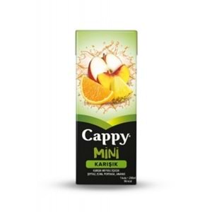 CAPPY MINI MEYVE SUYU 200 ML KARISIK