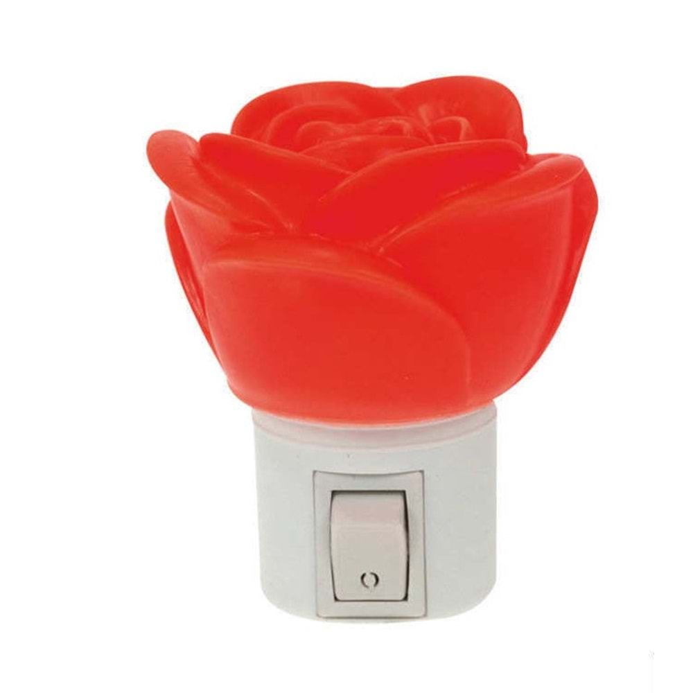 AHIS ANAHTARLI GECE LAMBASI