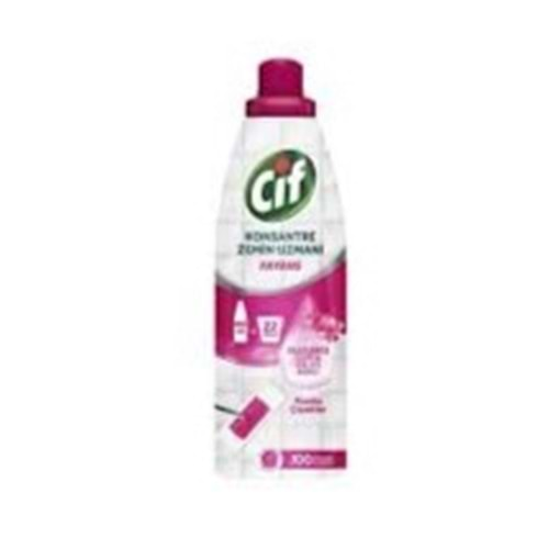 CİF KONSANTRE ZEMİN UZMANI 895 ML FAYANS