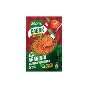 KNORR CABUK MAKARNA 48 GR ARABIATA