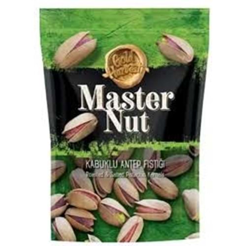 MASTER NUT ANTEP FISTIGI 70 GR